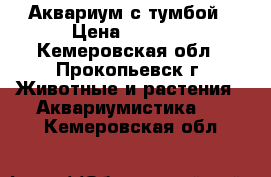 Аквариум с тумбой › Цена ­ 3 500 - Кемеровская обл., Прокопьевск г. Животные и растения » Аквариумистика   . Кемеровская обл.